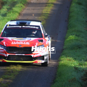 david kelly-7